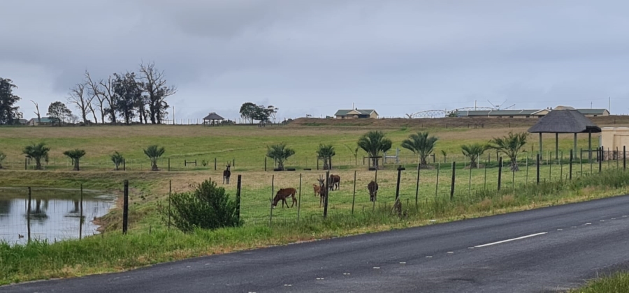 3 Bedroom Property for Sale in Glentana Western Cape